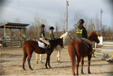 IEA team lesson at AMIT