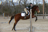 IEA team member jumping